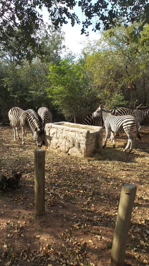 Beyond The Boma Boutique Guesthouse Marloth Park Eksteriør billede