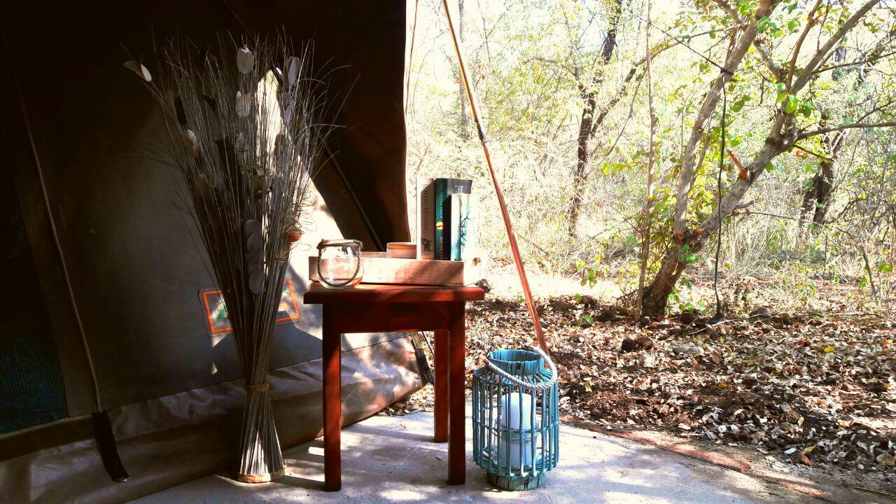 Beyond The Boma Boutique Guesthouse Marloth Park Eksteriør billede