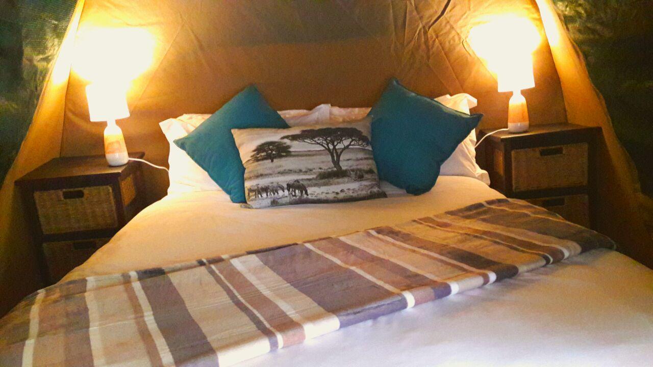 Beyond The Boma Boutique Guesthouse Marloth Park Eksteriør billede